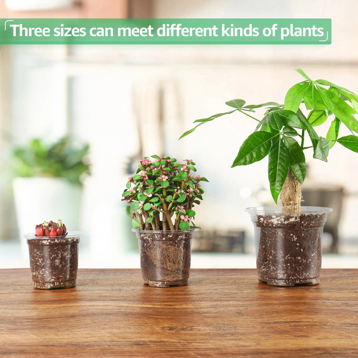 pots fleurs transparents plastique moderne drainage plantes semis jardinière pots divers tailles