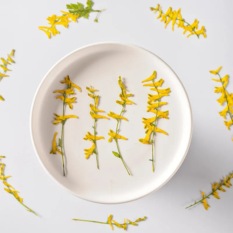 fleurs séchées jaune vif petites fleurs simples décoration maison anniversaire baby shower naturelle rustique