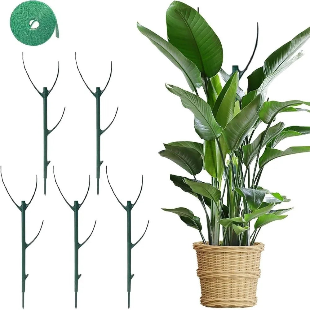 supports plantes grimpantes tuteur végétal vert foncé métallique minimaliste moderne fixations velcro plantes fleurs