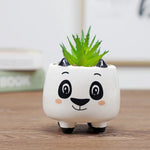 cache pot cartoon visage animé blanc rose jaune noir succulente décoration table adultes unisexe