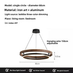 suspension lumineuse moderne bois foncé anneau concentrique éclairage led minimaliste