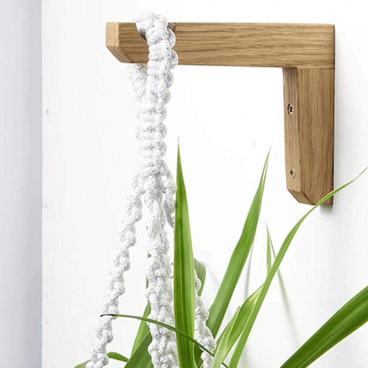 supports muraux bois plantes suspendues crochet paniers fleurs rustique minimaliste fixations murales