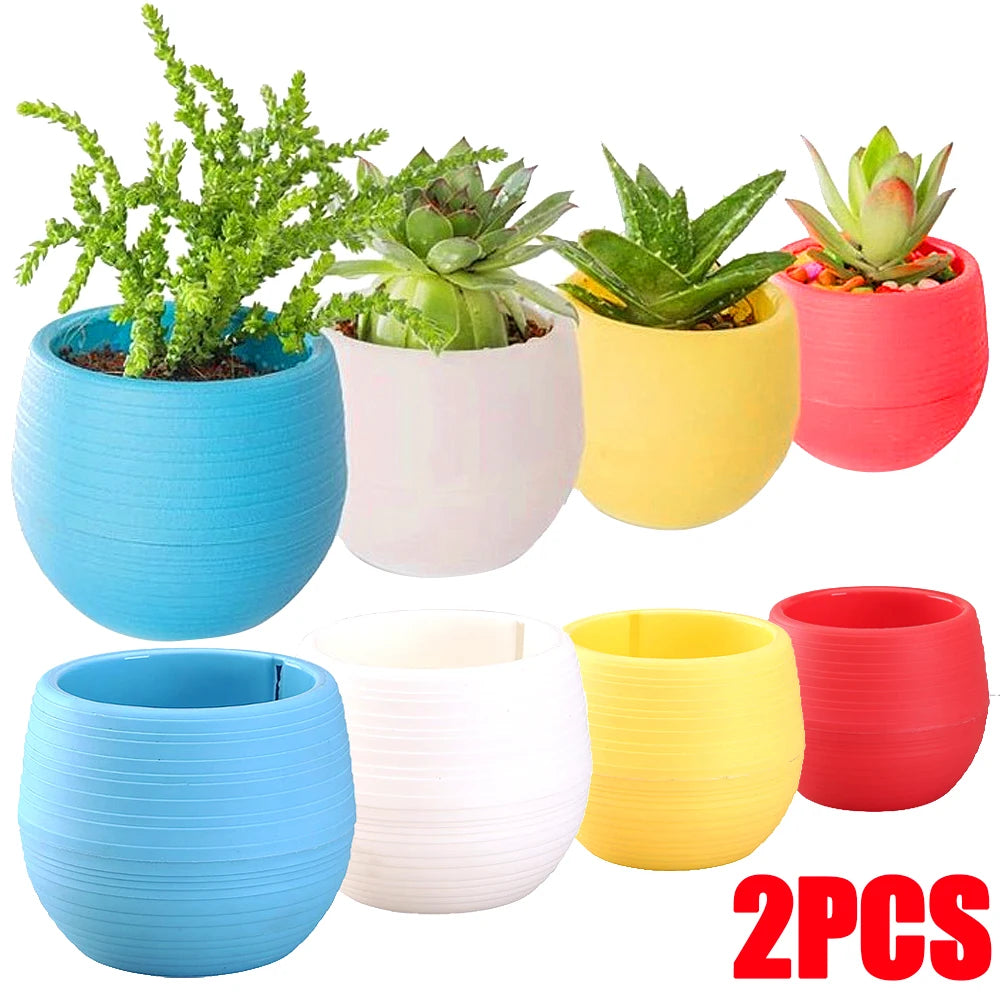 cache pot résine coloré moderne rayures horizontales plante succulente bleu blanc jaune rouge vert