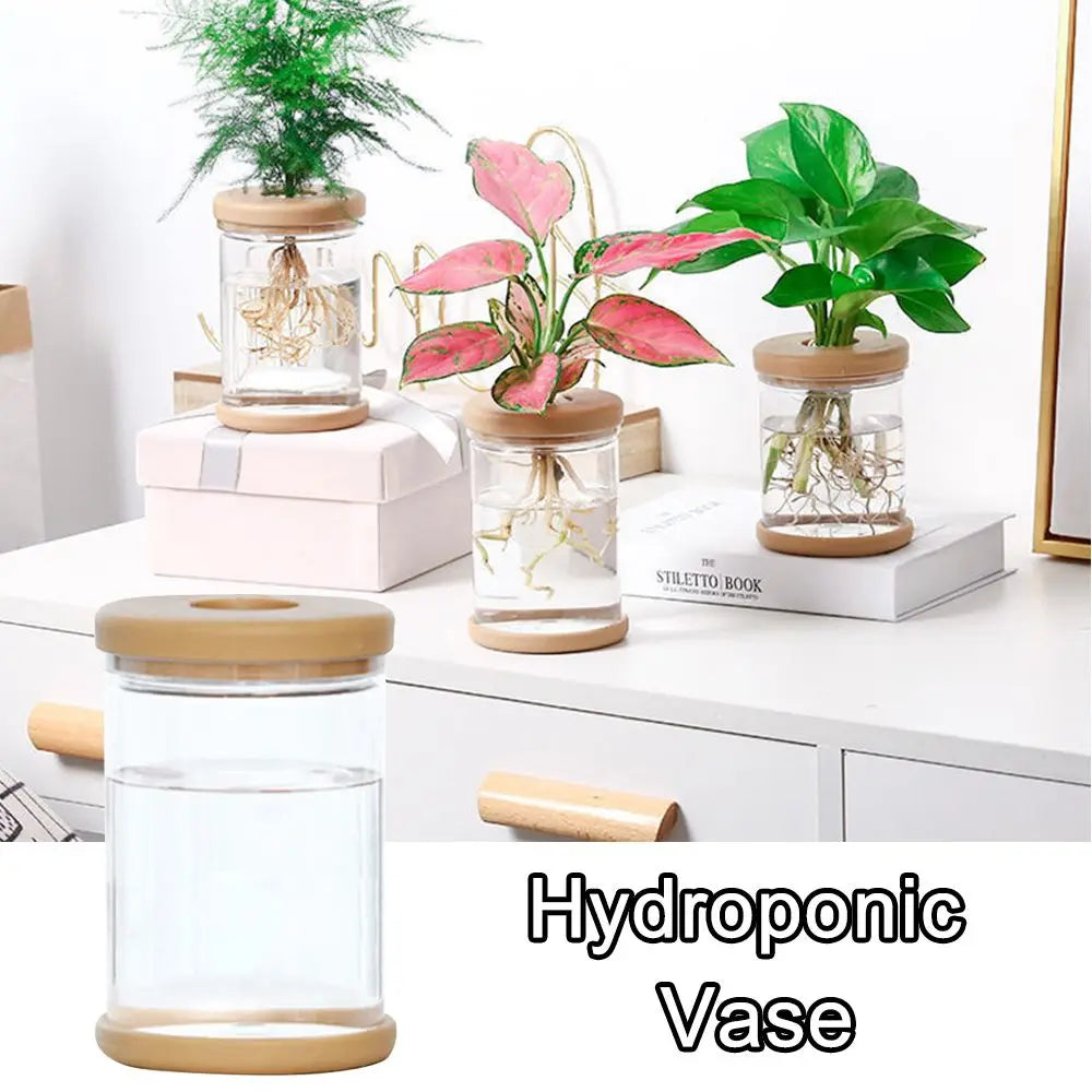 vase hydroponique transparent moderne minimaliste plantes intérieures simpleDecorationInterieur