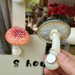 aimants réfrigérateur forme champignon couleur rouge noir blanc marron clair texture naturelle réaliste opaques