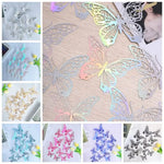 décorations murales papillons transparents multicolores adhésifs modernes élégants variées tailles couleurs