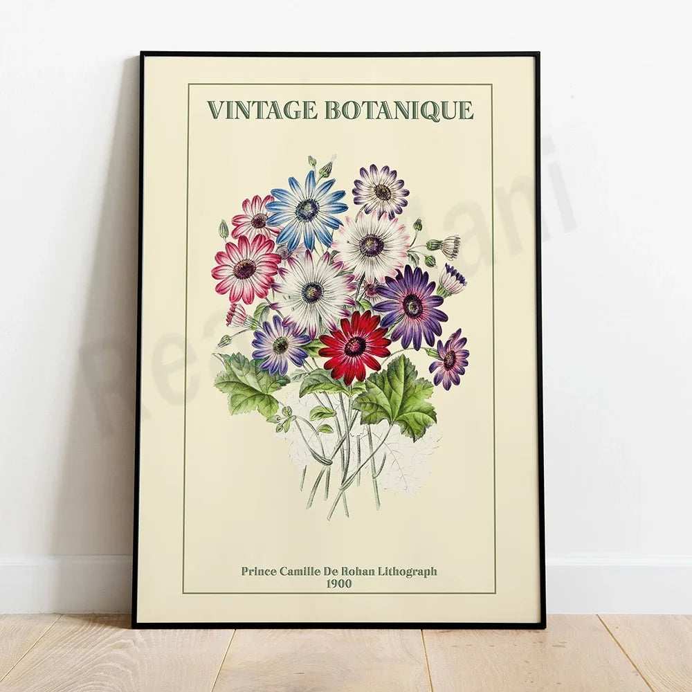 Une affiche vintage de fleurs botaniques multicolores, avec des marguerites rouges, bleues et violettes, ainsi que des feuillages verts.