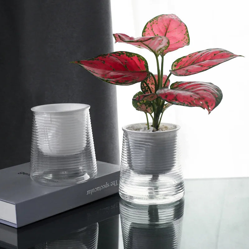 pots plantes transparents rayures horizontales modernes intérieurs auto arrosage succulentes petits fleurs