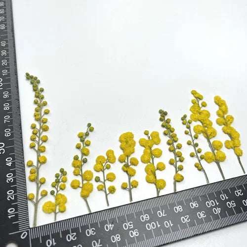 fleurs séchées acacia jaune vert bouquet naturel artisanal intérieur décoration maison anniversaire baby shower