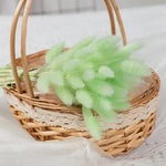 bouquet fleurs séchées herbe rabbit tail décoration maison mariage anniversaire boho naturelle rustique
