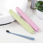 boîte rangement réutilisable moderne brosse dents rose bleu vert beige