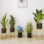 Support de plante vert en fer forgé pour espace de vie