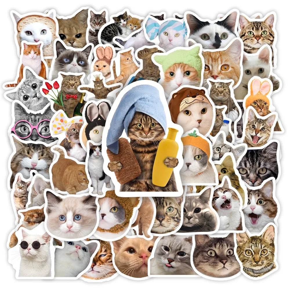 stickers chats multicolores illustrés adhésifs modernes waterproof enfants adultes transparents motifs chapeaux accessoires