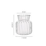 vases transparents modernes verre cristal pot fleur terrarium hydroponique arrangement table pièce