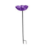 bassin oiseaux fleur rouge bleu moderne extérieur décoration pollinisateurs jardin