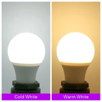 ampoule led e27 basse tension 12v 85v blanc froid chaud décoration salon moderne