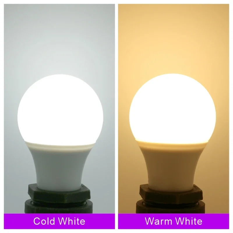ampoule led e27 basse tension 12v 85v blanc froid chaud décoration salon moderne
