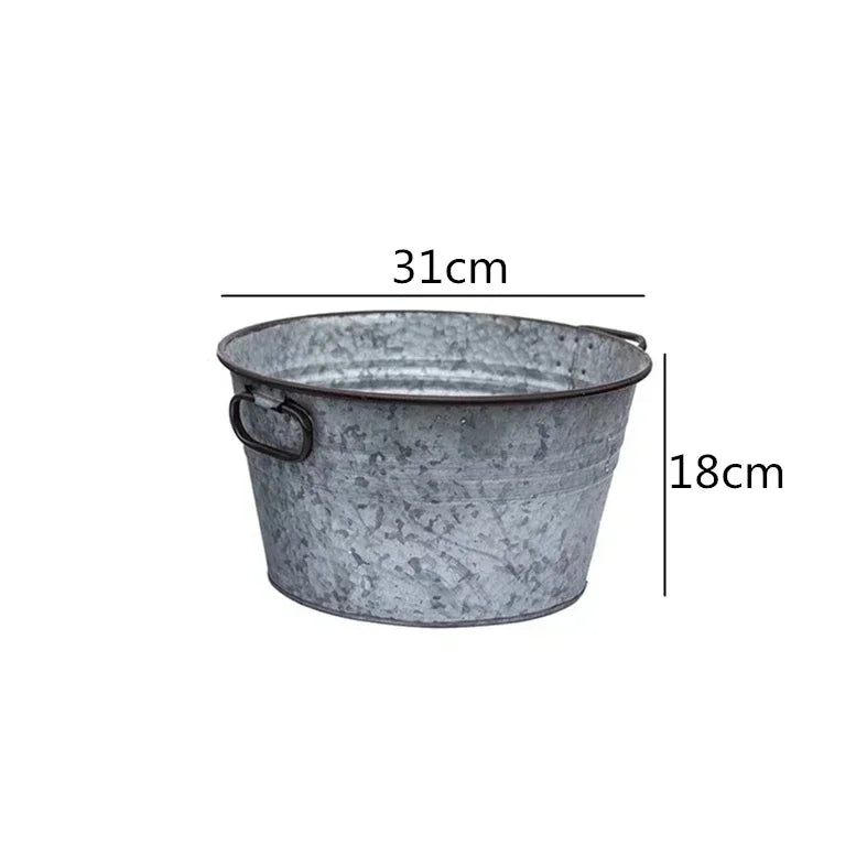 seau métal vintage anses rouille plante verte fleur blanche pot terre cuite brique rouge