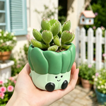 cache pot résine vert clair succulentes mignon visage souriant cactus décoration balcon
