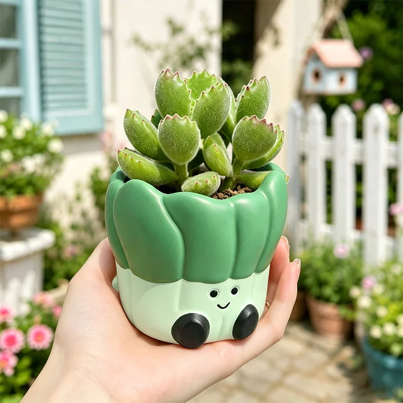 cache pot résine vert clair succulentes mignon visage souriant cactus décoration balcon