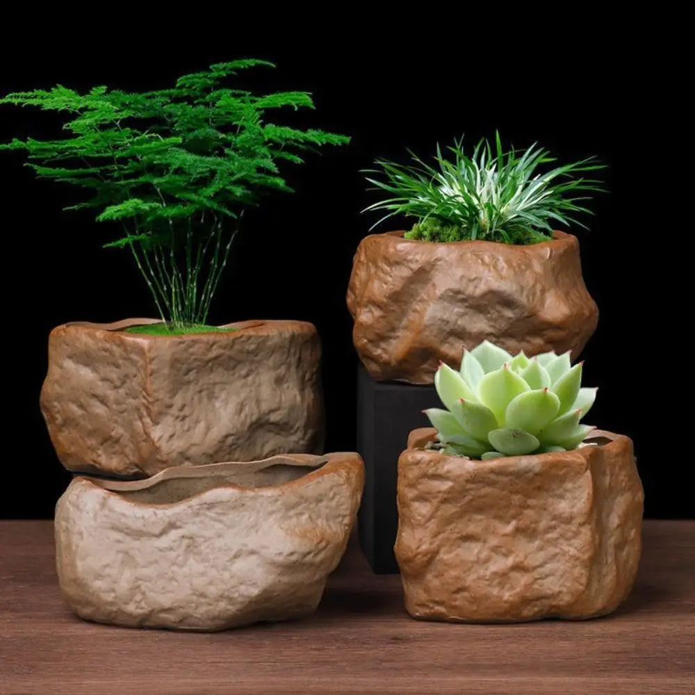 pots plantes succulentes céramique forme pierre drainage moderne naturel opaque marron rocheux