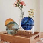 vases sphériques transparents moderne vert rose orange bleu fleurs artificielles hydroponique ecologique