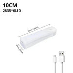 lampe induction corporelle rechargeable blanc moderne minimaliste clips chargeur 10cm 20cm 30cm 50cm