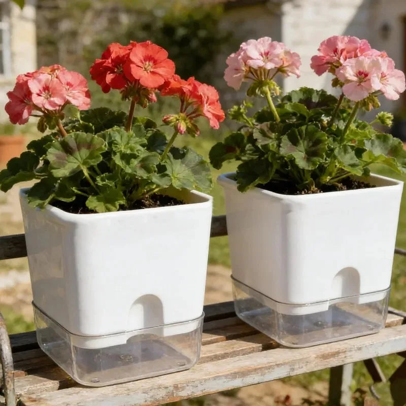 pots fleurs auto arrosants blanc transparent moderne plante geranium daisy pothos chambre jardin suspension