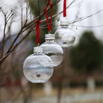 Lot de 10 boules de Noël vides pour décoration DIY