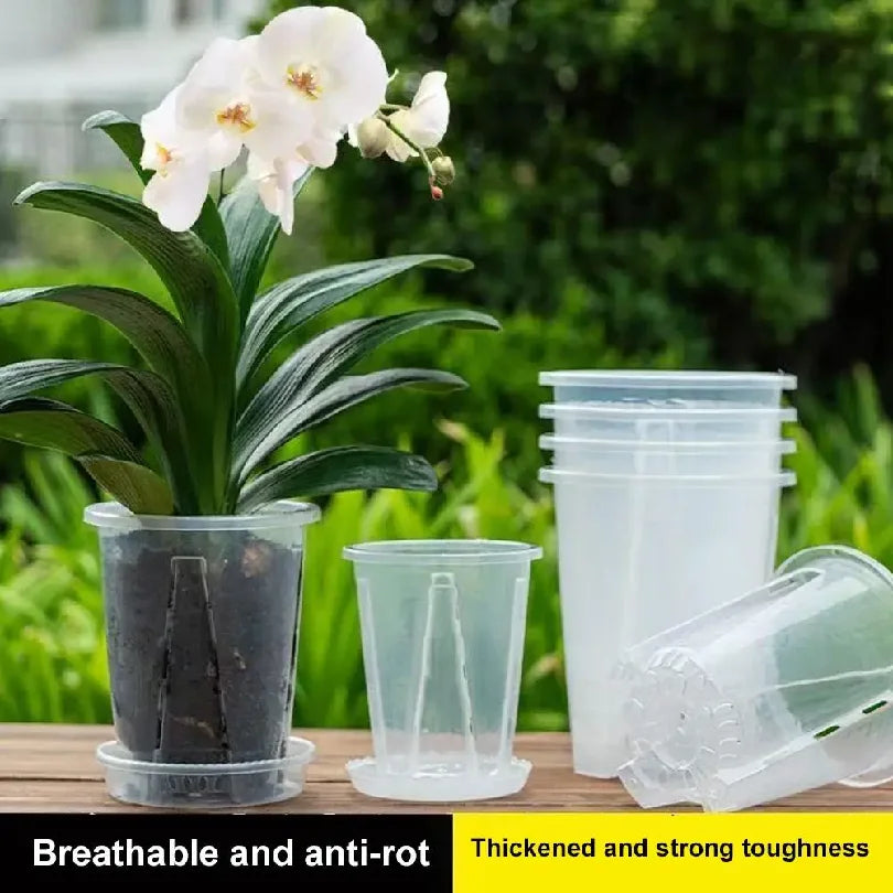 pots transparents orchidées phalaenopsis plastique modernes grille racinesControlEvents