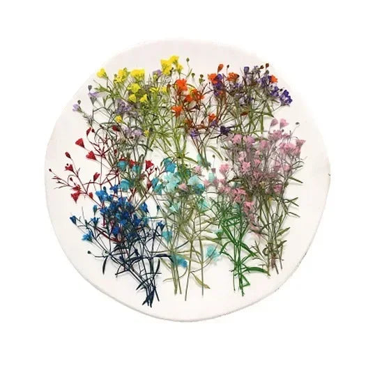fleurs séchées multicolores petite taille décoration maison anniversaire baby shower naturelle rustique