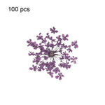 fleurs séchées pressées coque téléphone transparente arbre fleurs roses naturel artisanat bijoux 100 pièces