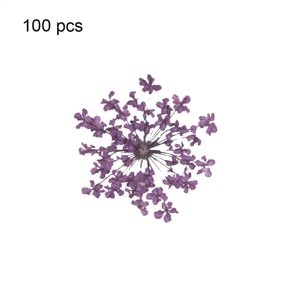 fleurs séchées pressées coque téléphone transparente arbre fleurs roses naturel artisanat bijoux 100 pièces