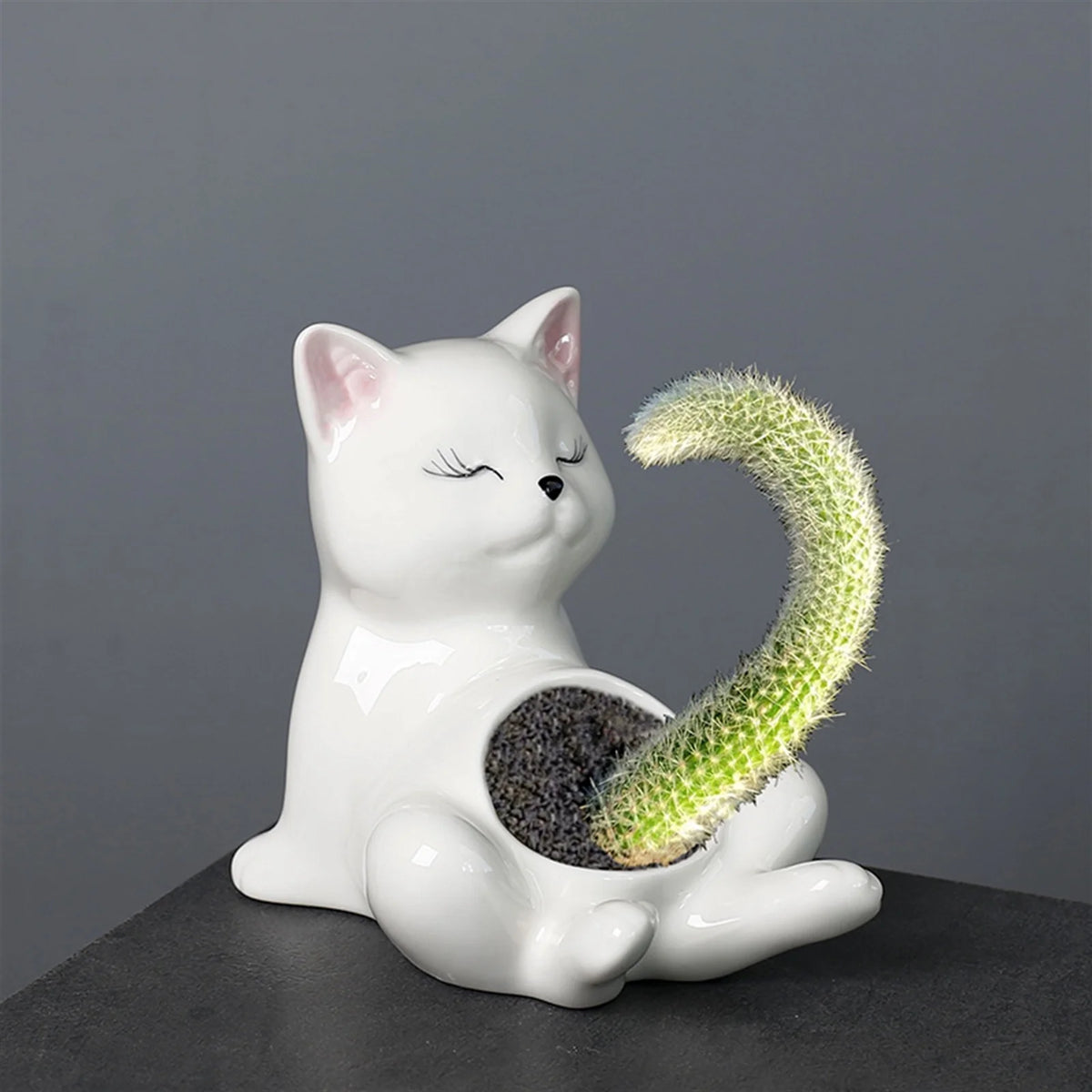 pots céramique porcelaine blanc cactus succulentes manga mignon zenintérieurextérieurvaseglacébrillant