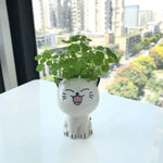 vase céramique glacé cartoon chat sourire plante décoration diy blanc erotique