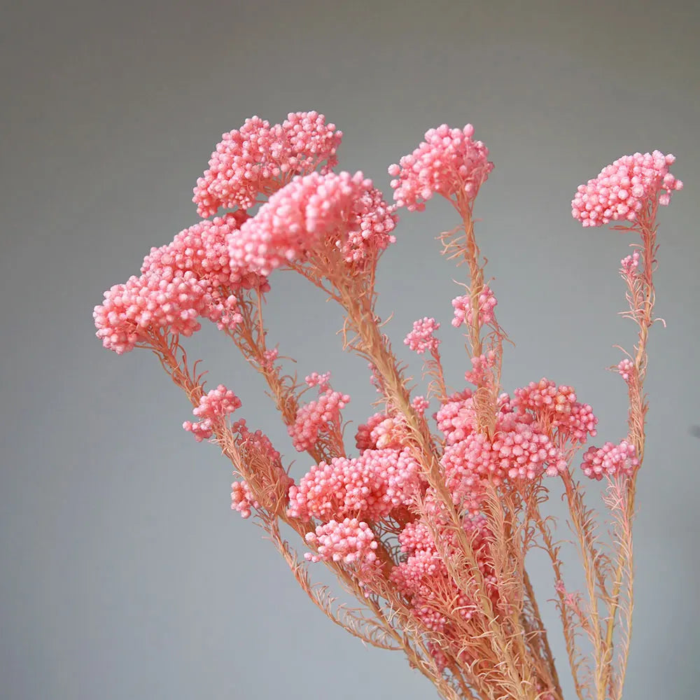 bouquet fleurs séchées naturelles rustique décoration maison mariage anniversaire petit volume décoratif
