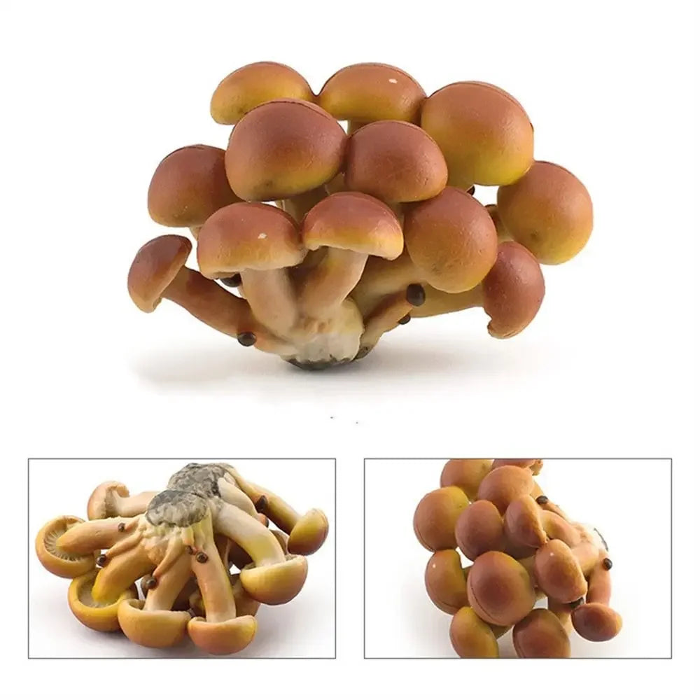 champignons décoratifs résine marron rouge lisses réels jardin decoration pointillés adultes