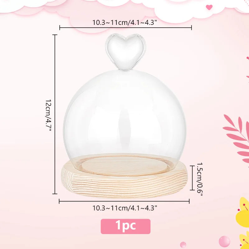 boule neige transparente moderne ours peluche fleurs séchées neige artificielle