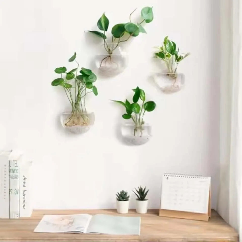 vases murals verre transparent modernes minimaux plante graine sable