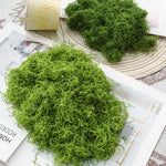 mousse décorative verte polyester décoration intérieure terrariums pots plantes diy bonsaï filamenteuse duveteuse
