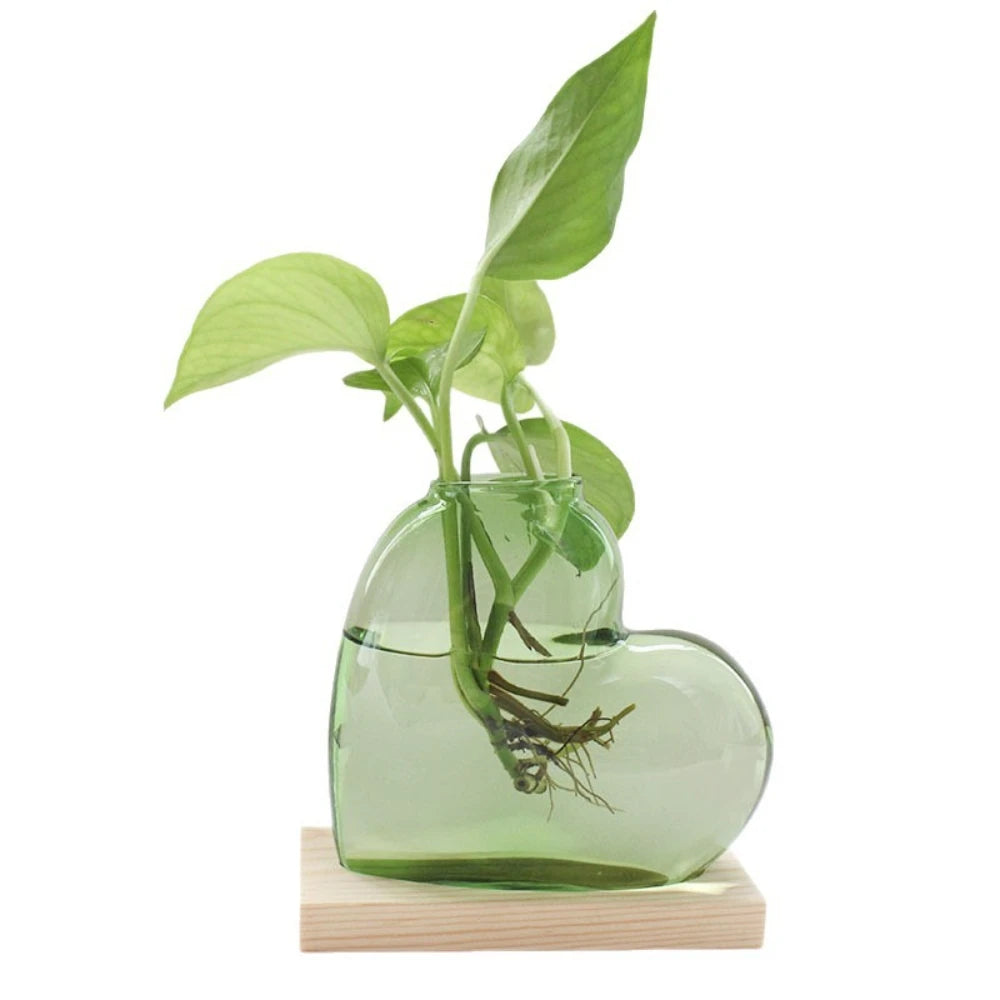 vase verre forme cœur transparent moderne plante verte support bois