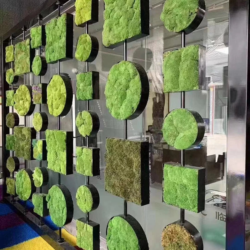 mousse séchée artificielle naturelle couleur verte décoration intérieure jardin mur salon maison