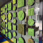 mousse séchée artificielle naturelle couleur verte décoration intérieure jardin mur salon maison