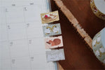 rubans adhésifs décoratifs animaux géométriques gâteaux blanc beige gris marron vert rose