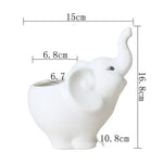 pots fleurs succulentes céramique forme éléphant blanc moderne décoration maison plantes vertes