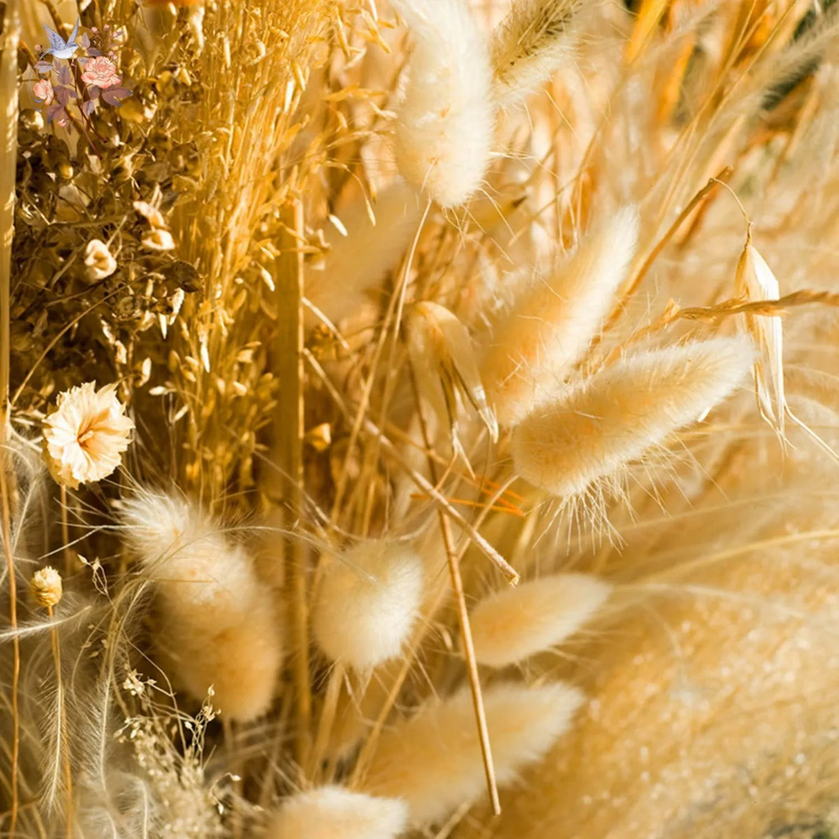 bouquet fleurs séchées herbe rabbit tail décoration maison mariage anniversaire boho naturelle rustique