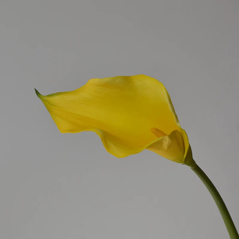 fleurs artificielles calla lily blanc rose orange vases transparents mariage anniversaireintérieurDecorationMinimaliste