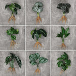 plantes artificielles arbres feuilles vertes moderne décoration extérieure ornement vertes minimalistes