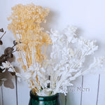 bouquet fleurs séchées naturelles rustique décoration maison mariage anniversaire petit volume décoratif