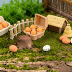 boîtes œufs résine animal compagnie simple décor maison poupée paysagiste jardin plateau œufs DIY
